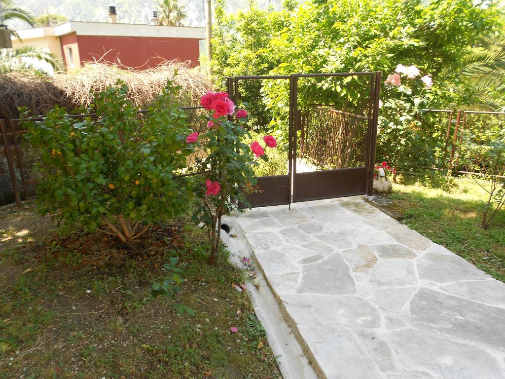 Apartments Samardzic Котор Екстер'єр фото
